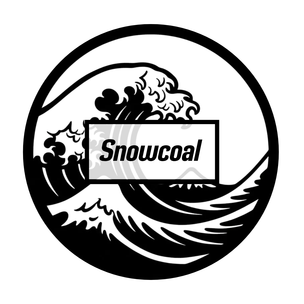 Coaster Snowcoal
